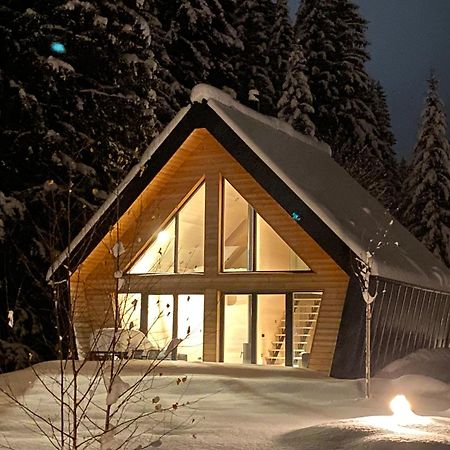 Chalet Belveder Horska Chata Zelezna Ruda Bagian luar foto