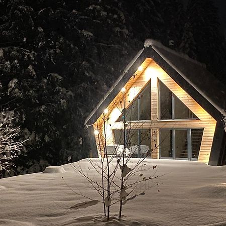 Chalet Belveder Horska Chata Zelezna Ruda Bagian luar foto