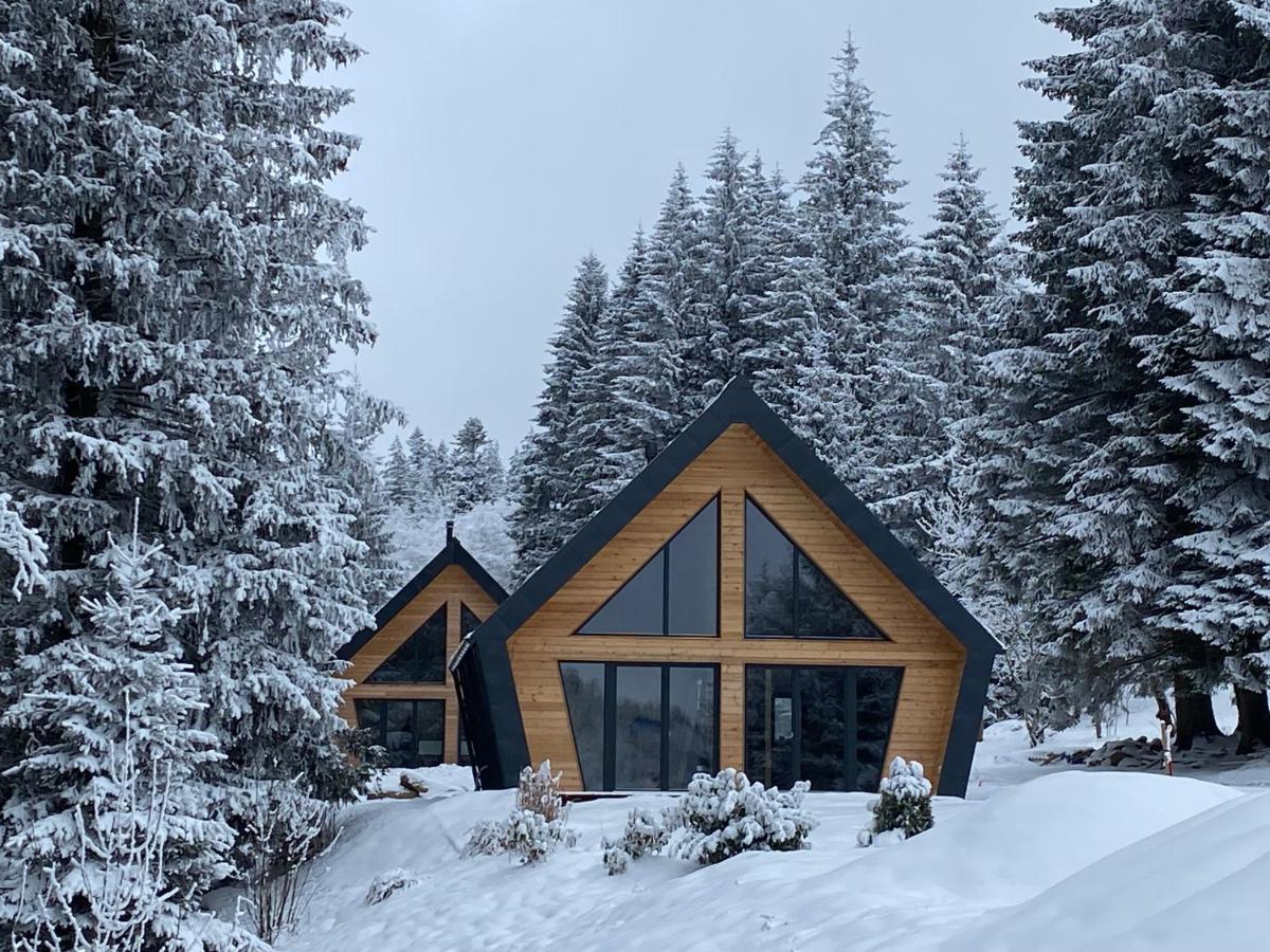 Chalet Belveder Horska Chata Zelezna Ruda Bagian luar foto