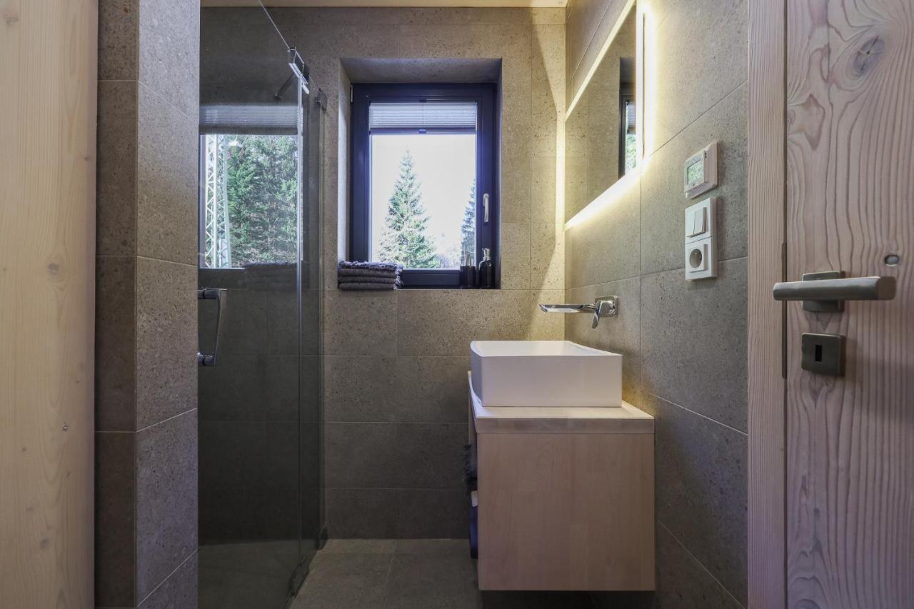 Chalet Belveder Horska Chata Zelezna Ruda Bagian luar foto