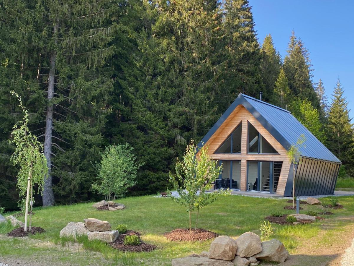 Chalet Belveder Horska Chata Zelezna Ruda Bagian luar foto