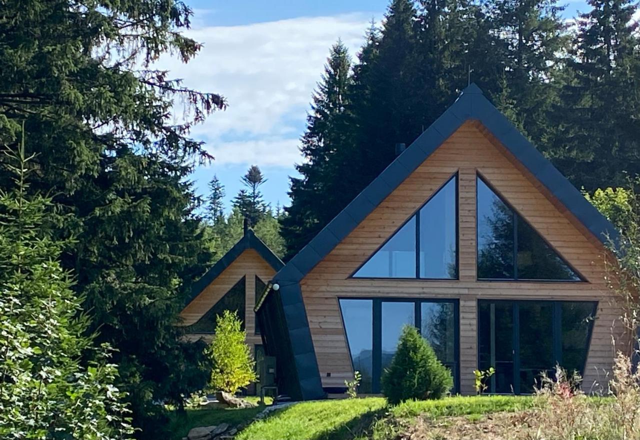 Chalet Belveder Horska Chata Zelezna Ruda Bagian luar foto