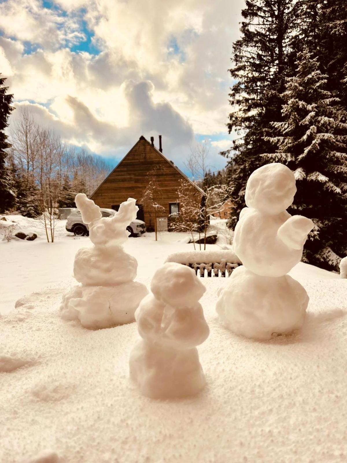 Chalet Belveder Horska Chata Zelezna Ruda Bagian luar foto